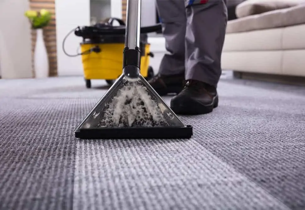 Carpet Care Services