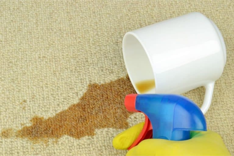 commercial cleaning company