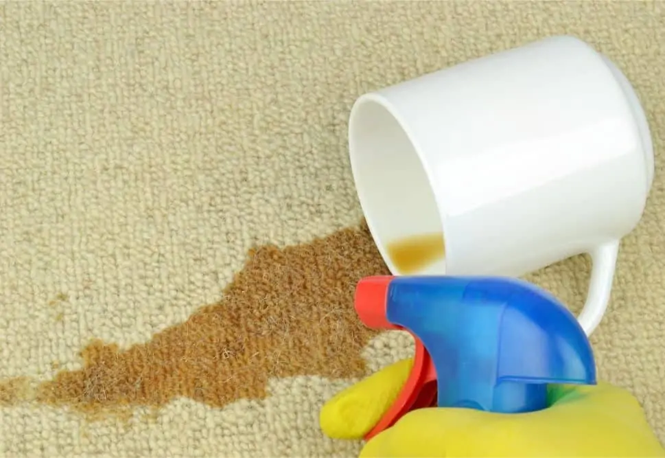 commercial cleaning company