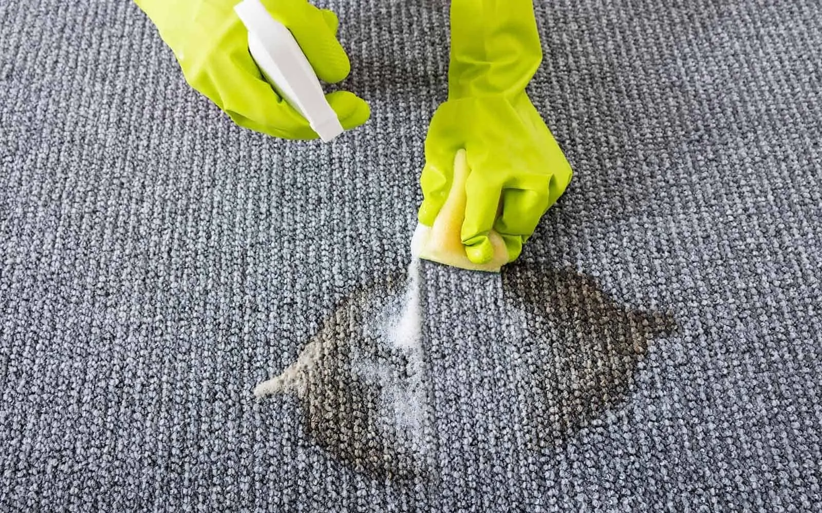 Carpet Cleaning Services in SFV